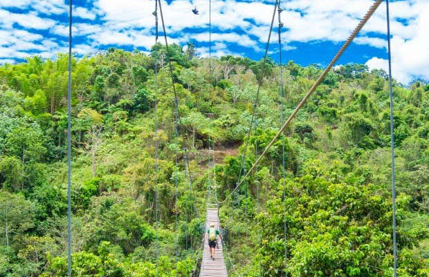 Puentes colgantes en Toro Verde Eco Adventure Park - Foto 4