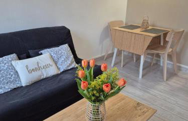 Le Cocon des Lumières Centre Chartres Parking - Foto 12