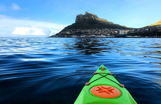 Tour en kayak por Ciudad del Cabo - Foto 3