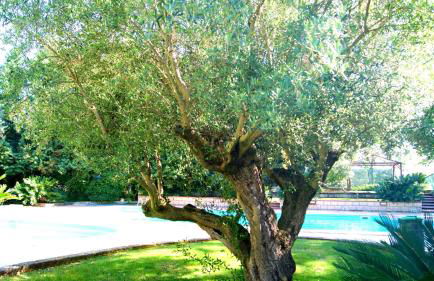 Agriturismo La Colombaia - Foto 42