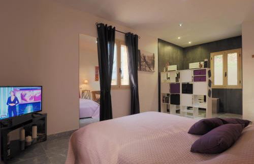 Magnifique Villa de prestige, piscine chauffée - Foto 24