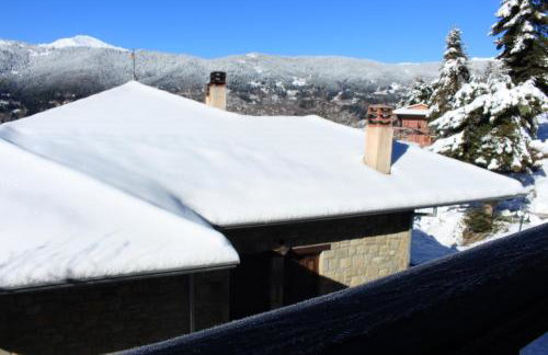 Τα Πέτρινα της Ελάτης - Petrina Elatis - Foto 57