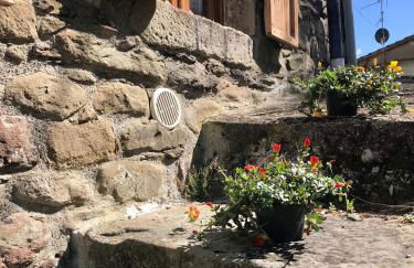 THE DORMOUSE - Il Ghiro - Foto 43