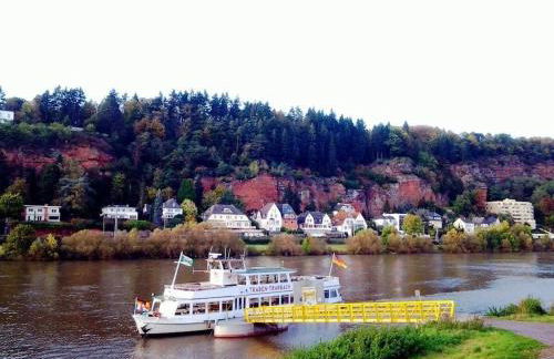 Holiday apartment in Konz with swimming pool - Foto 23