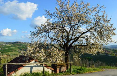 Agriturismo Cascina Rabalot - Foto 5