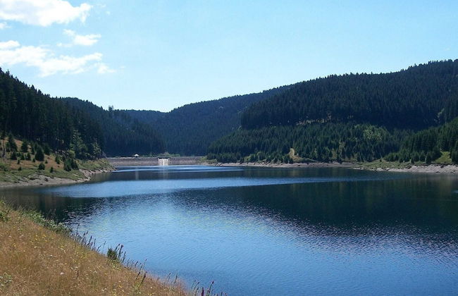 Apartment With Forest in Goldisthal Thuringia - Foto 31