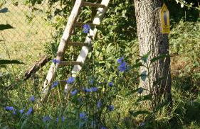 Ferienwohnung Alte Schule Chorin Schorfheide - Foto 30