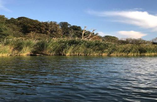 Holiday home with sauna and whirlpool - Foto 25