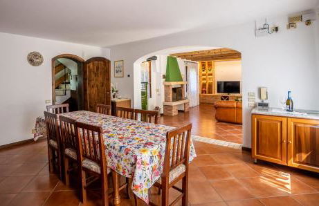 GATTO IN VIGNA - Foto 33