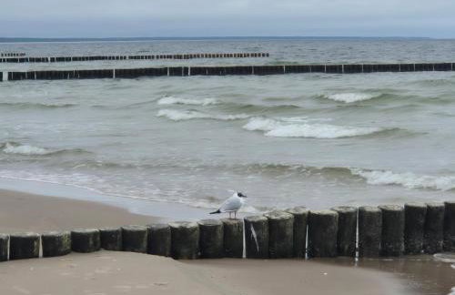 Modernes Appartment, 3 Gehminuten zum Strand, Pool+Sauna - Foto 37