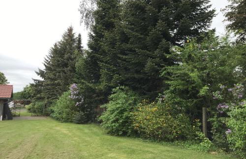 Familie Nahrstedt Wildblick - Foto 23