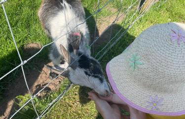 UPSIDE DOWN HOUSE - Sleeps up to 6 Guests - Great for Family and Friends Gatherings,Corporate events ,Near Sherwood Forest at Fairview Farm in Nottingham set in 88 acres - Foto 32