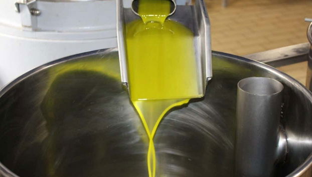 Descubriendo cómo se produce el aceite