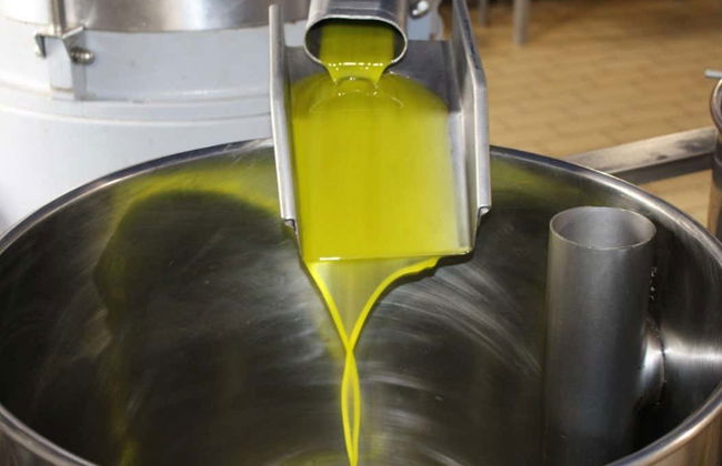 Tour del aceite por Montoro - Foto 3