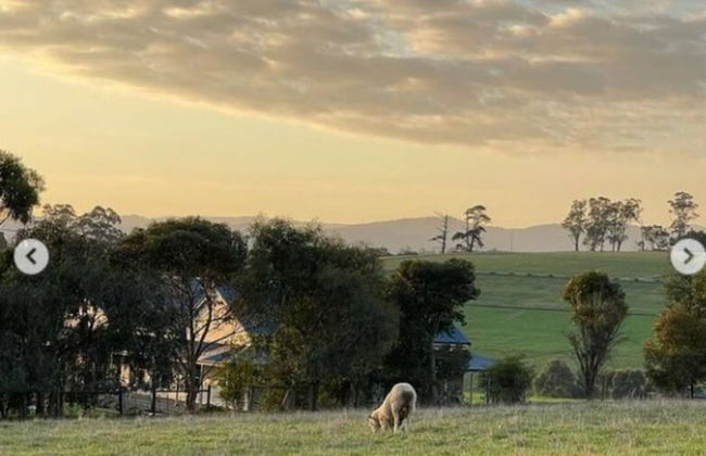 Jilly Park Farm Interactive Experience - Foto 46