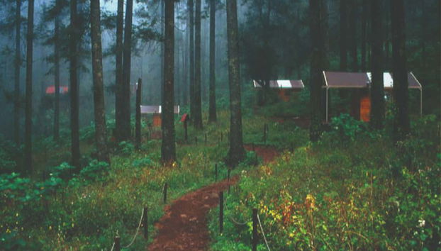 Hiking in the El Chico National Park