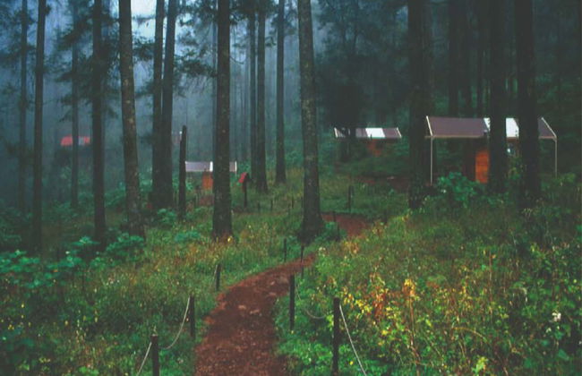 El Chico National Park Hiking & Meditation Activity - Photo 3