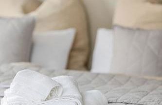 Im Herzen der Pfalz - Urlaub in der Rebenkoje - Foto 19