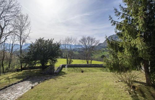 Escuelas de collía B - Foto 26