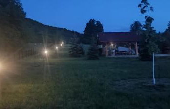 Lazy bear - Foto 59