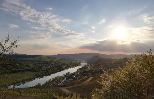 Ferienwohnungen Zum Niederberg mit Balkon und Moselblick - Foto 27