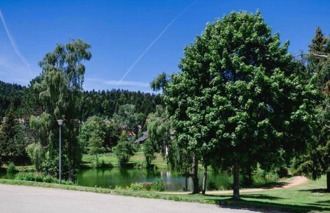 Pleasing Apartment in Herrischried near Forest - Foto 33