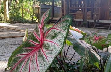 Chalé 01 Itaipu Vale da Colina Niterói - Photo 43