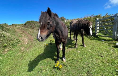 Trefechan Wen Barn - Photo 21