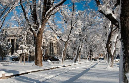 Pine Nest Retreat Saloon and Scenic Views - Foto 62