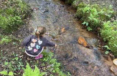 Modern Cabin with Luxury Gym, Firepit + Game Room! - Foto 44