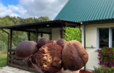 Apartament „Pod Zielonym Dachem” - Foto 19