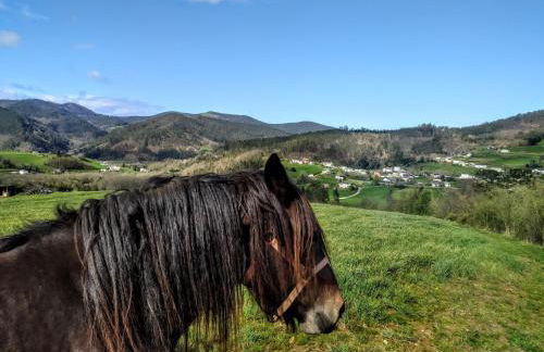 Apartamentos Casa Alvarina - Luarca - Foto 34