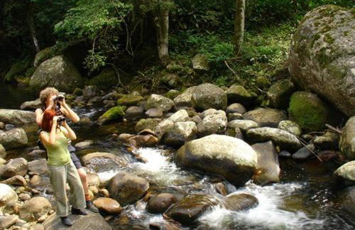 Chalés Cachoeira Azul - Foto 67