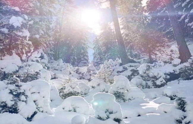 Apartment in Zillertal Near Ski Slopes - Foto 34