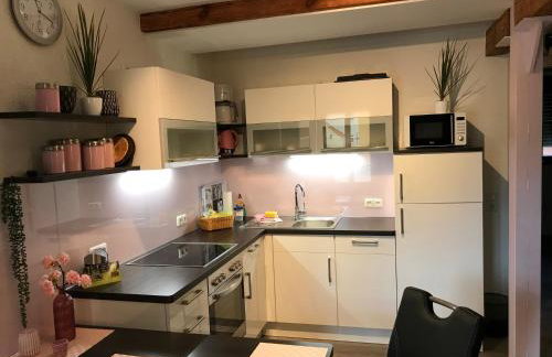 Rennerhof-Siebeneichen Fewo Waschbär - Foto 2