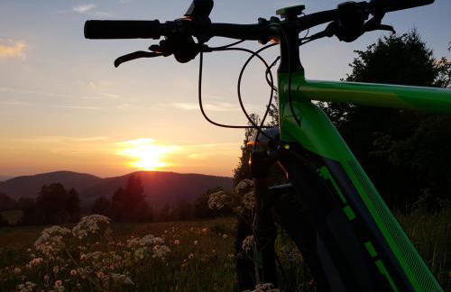 Ferienhaus Am Kirchberg - Foto 48