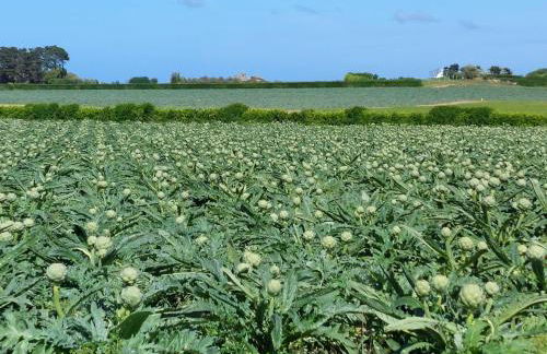 Stone House in Cléder near Sandy Beach - Foto 25