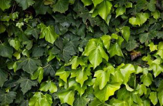 Il Nido a Portovenere - Foto 41