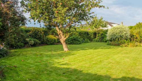 The Old Farmhouse - Foto 2