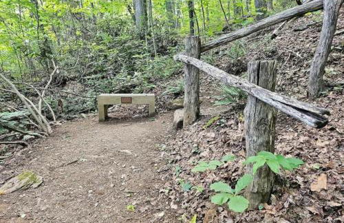 Updated Classic Cabin, Private Community and Hot Tub - Foto 35