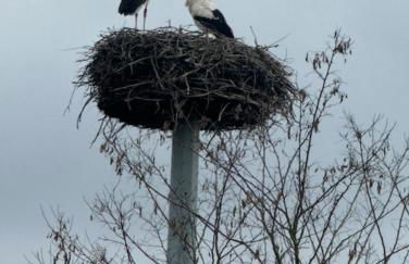 Ferienhaus Hoffmann am Rheinbogen - Foto 29