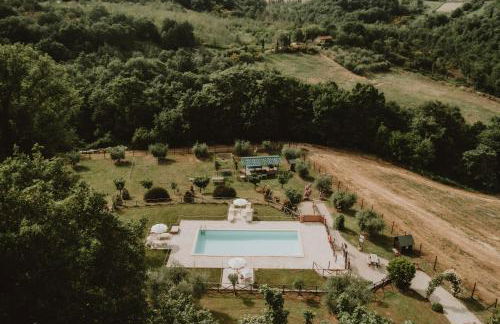 Agriturismo Tenuta Capitolini - Photo 8