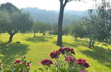 Santa Maria degli Ancillotti - Foto 12