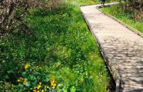 Les Coquelicots - Foto 12