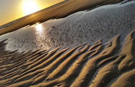 DEMEURE 300m DE LA PLAGE - Foto 23