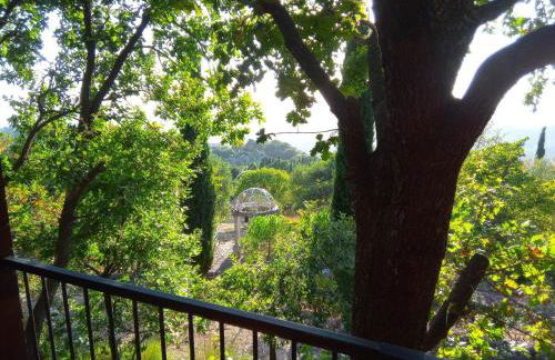 Deliziosa casa sull albero a 30 minuti da Roma - Foto 13