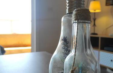 Radazul Paraíso Beach - Dive - Foto 9