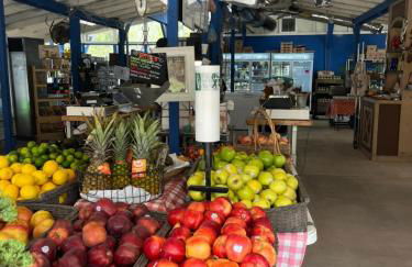 Luxury, Countryside, Tranquil Retreat at The French Château of Odessa - Foto 51