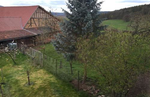 One-bedroom apartment - Foto 11