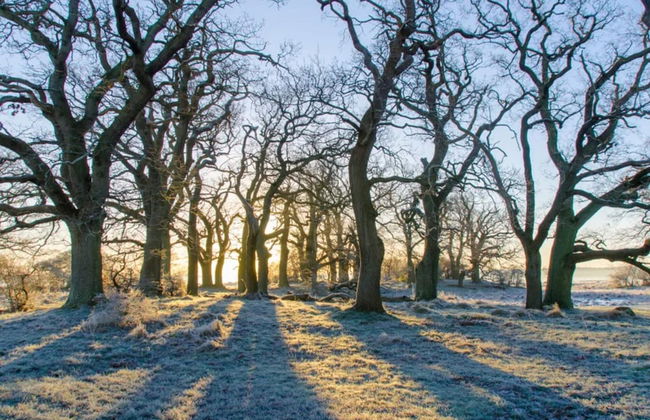 6 Person Holiday Home in Kettinge - Foto 15